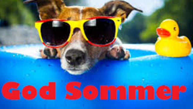 Sommer_640x360.png